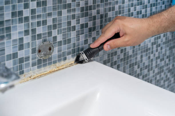 Best Office Mold Removal Services  in Florence, MS