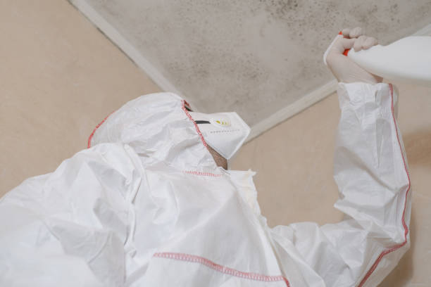 Best Certified Mold Removal  in Florence, MS