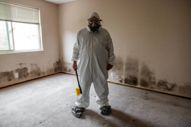 Best Attic Mold Removal  in Florence, MS